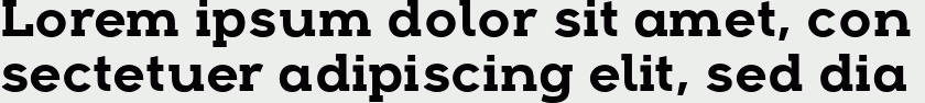 Arkibal Serif Bold