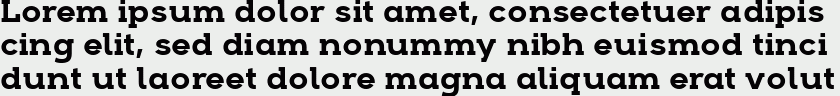 Arkibal Serif Bold