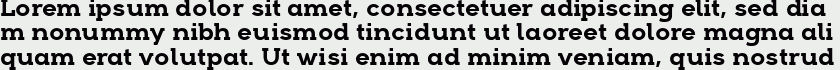 Arkibal Serif Bold