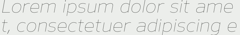 Nauman Thin Italic