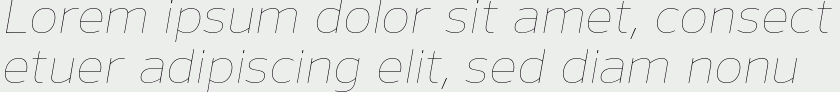 Nauman Thin Italic