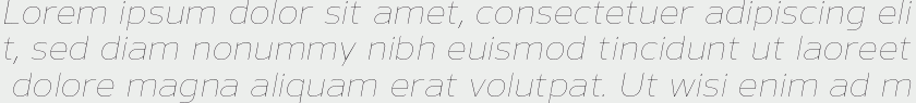 Nauman Thin Italic