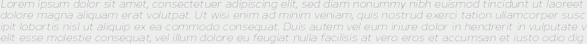 Nauman Thin Italic