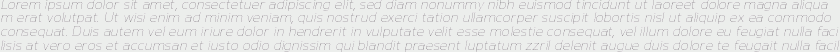 Nauman Thin Italic