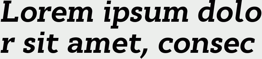 Cyntho Slab Pro Bold Italic