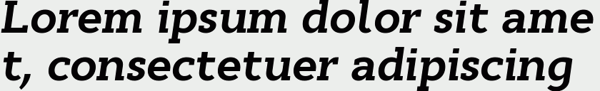 Cyntho Slab Pro Bold Italic