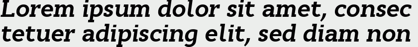 Cyntho Slab Pro Bold Italic