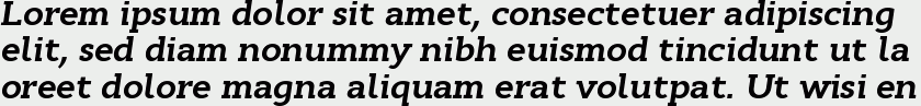 Cyntho Slab Pro Bold Italic