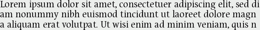 Puenta Serif Regular