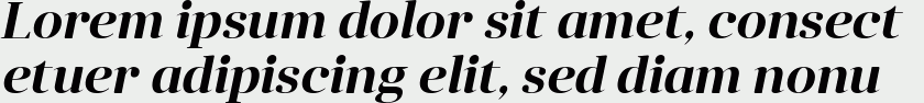 Anglecia Pro Display SemiBold Italic