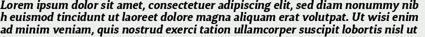 Synerga Pro Bold Italic