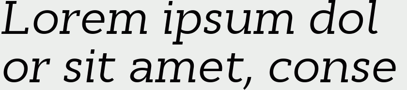 Cyntho Slab Pro Italic