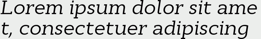 Cyntho Slab Pro Italic