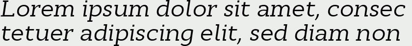 Cyntho Slab Pro Italic