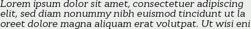 Cyntho Slab Pro Italic