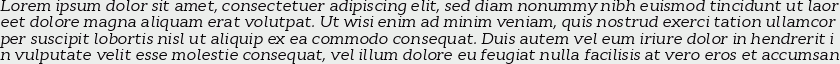 Cyntho Slab Pro Italic