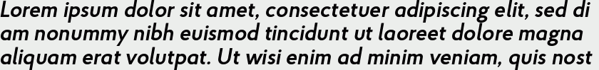 Proba Pro SemiBold Italic