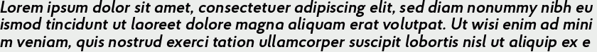 Proba Pro SemiBold Italic