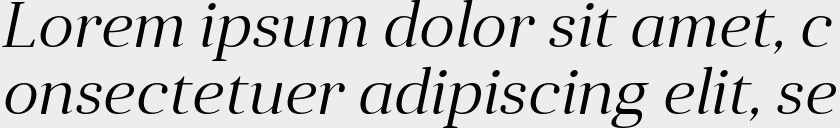 Anglecia Pro Title Light Italic