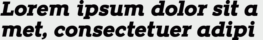 Zona Black Slab Italic