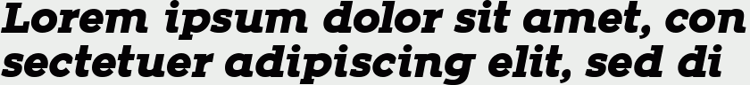 Zona Black Slab Italic