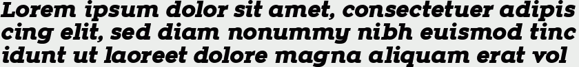 Zona Black Slab Italic