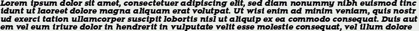 Zona Black Slab Italic