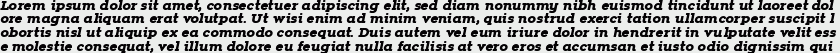 Zona Black Slab Italic