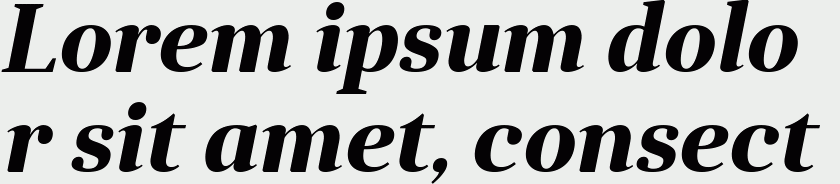 Anglecia Pro Title Bold Italic