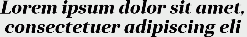 Anglecia Pro Title Bold Italic