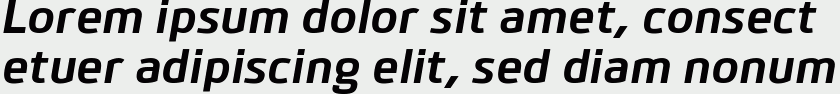 Bitner Bold Italic