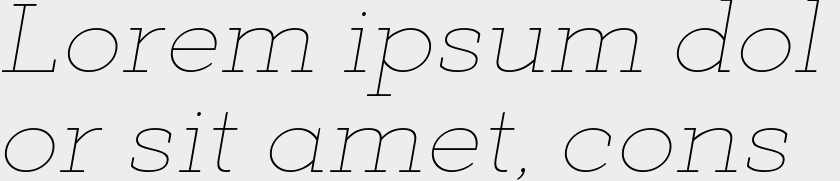 Deposit Pro Thin Italic