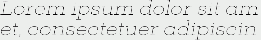 Deposit Pro Thin Italic