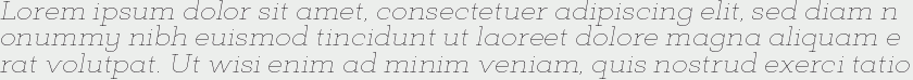 Deposit Pro Thin Italic