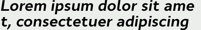 Cyntho Pro Bold Italic