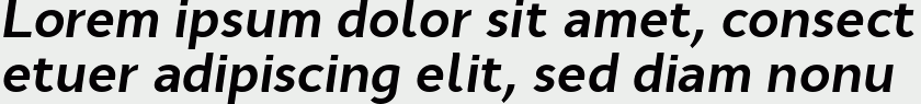 Cyntho Pro Bold Italic