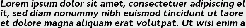 Cyntho Pro Bold Italic