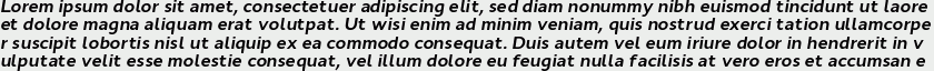 Cyntho Pro Bold Italic