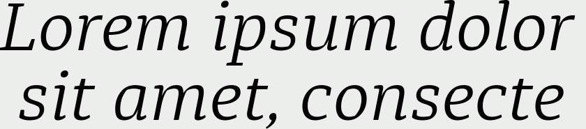 Diaria Pro Light Italic