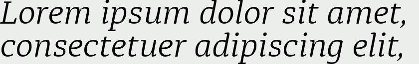 Diaria Pro Light Italic