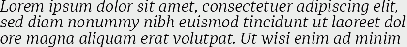 Diaria Pro Light Italic