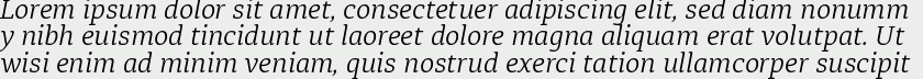 Diaria Pro Light Italic