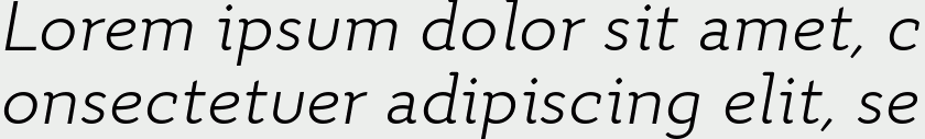 Quiza Pro Light Italic