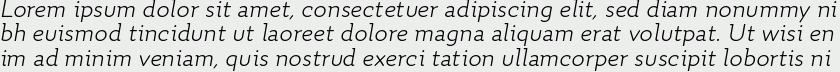 Quiza Pro Light Italic