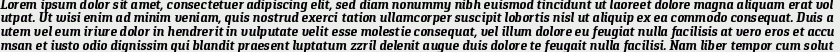 Pancetta Serif Pro Bold Italic