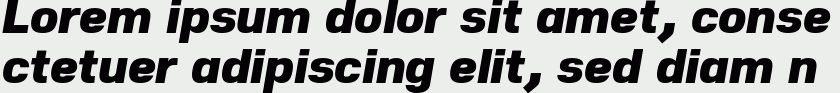 Nuber Black Italic