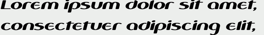 Cobono bold italic