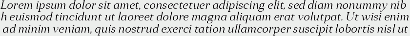 Anglecia Pro Text Light Italic