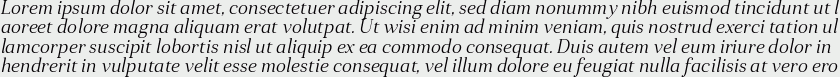 Anglecia Pro Text Light Italic