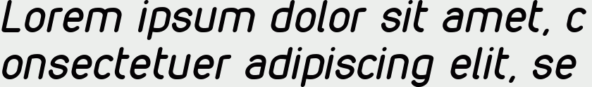 VDS Italic